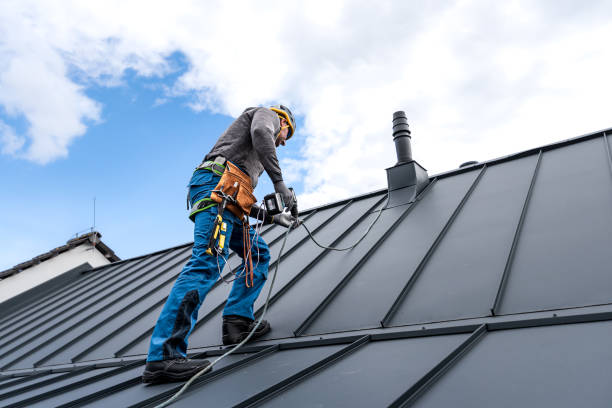 Waterproofing in Rosenhayn, NJ